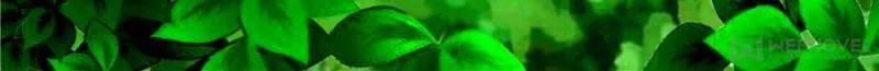 Read Penetrating Vision chapter 69 image 1 on Lezhin