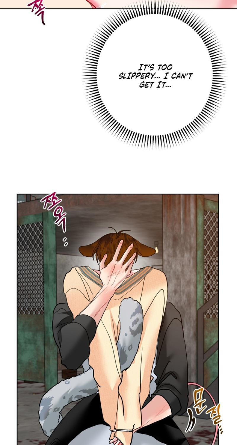 Read Peppermint Candy chapter 12.5 image 47 on Lezhin
