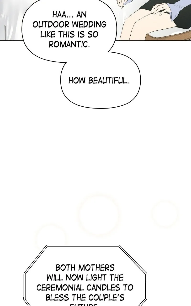 Perfect Contract Chapter 84 page 37 - 