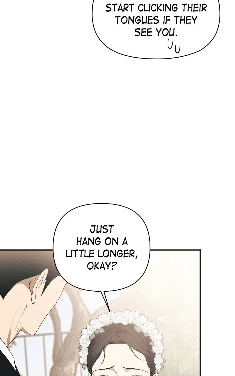 Perfect Contract Chapter 84 page 84 - 