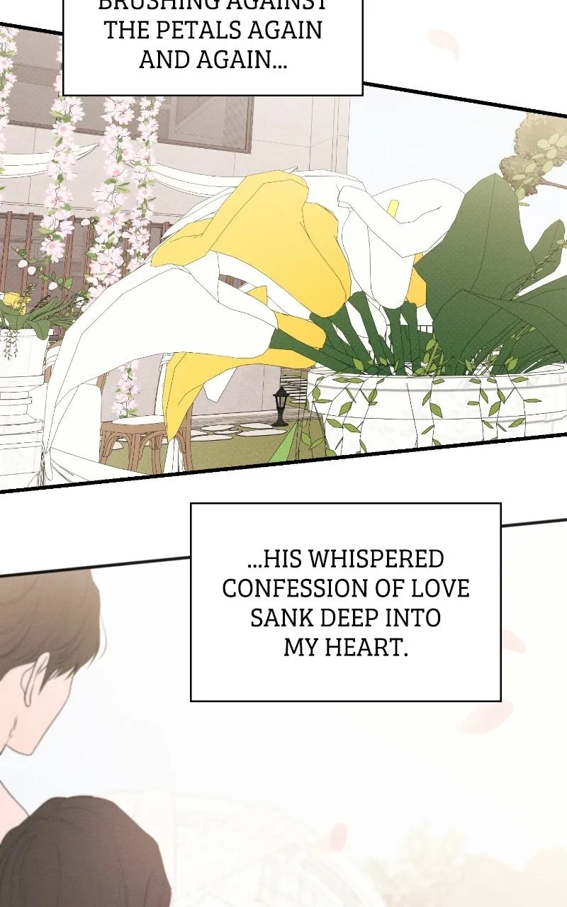 Perfect Contract Chapter 84 page 97 - 
