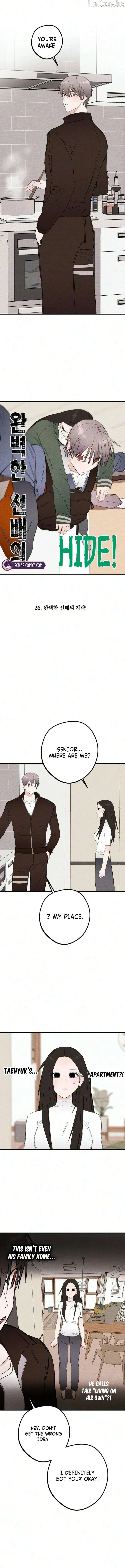 Read Perfect Senior