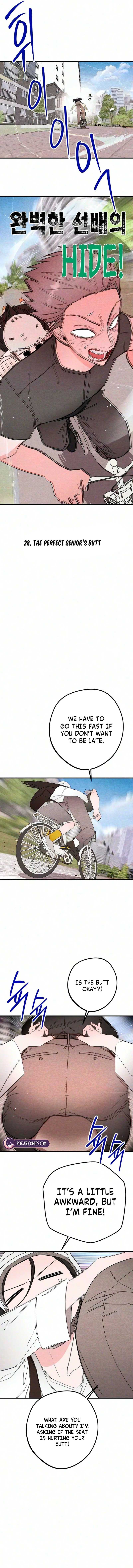 Read Perfect Senior