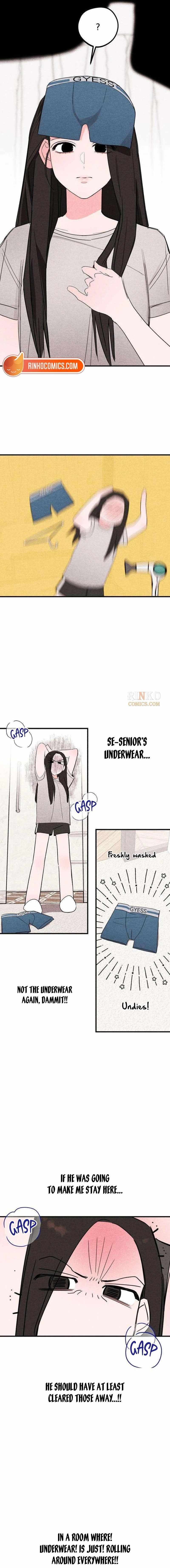 Read Perfect Senior