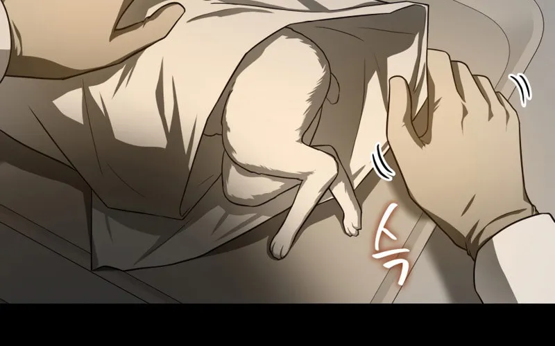 Read Perfect Surgeon chapter 38 image 63 on Lezhin