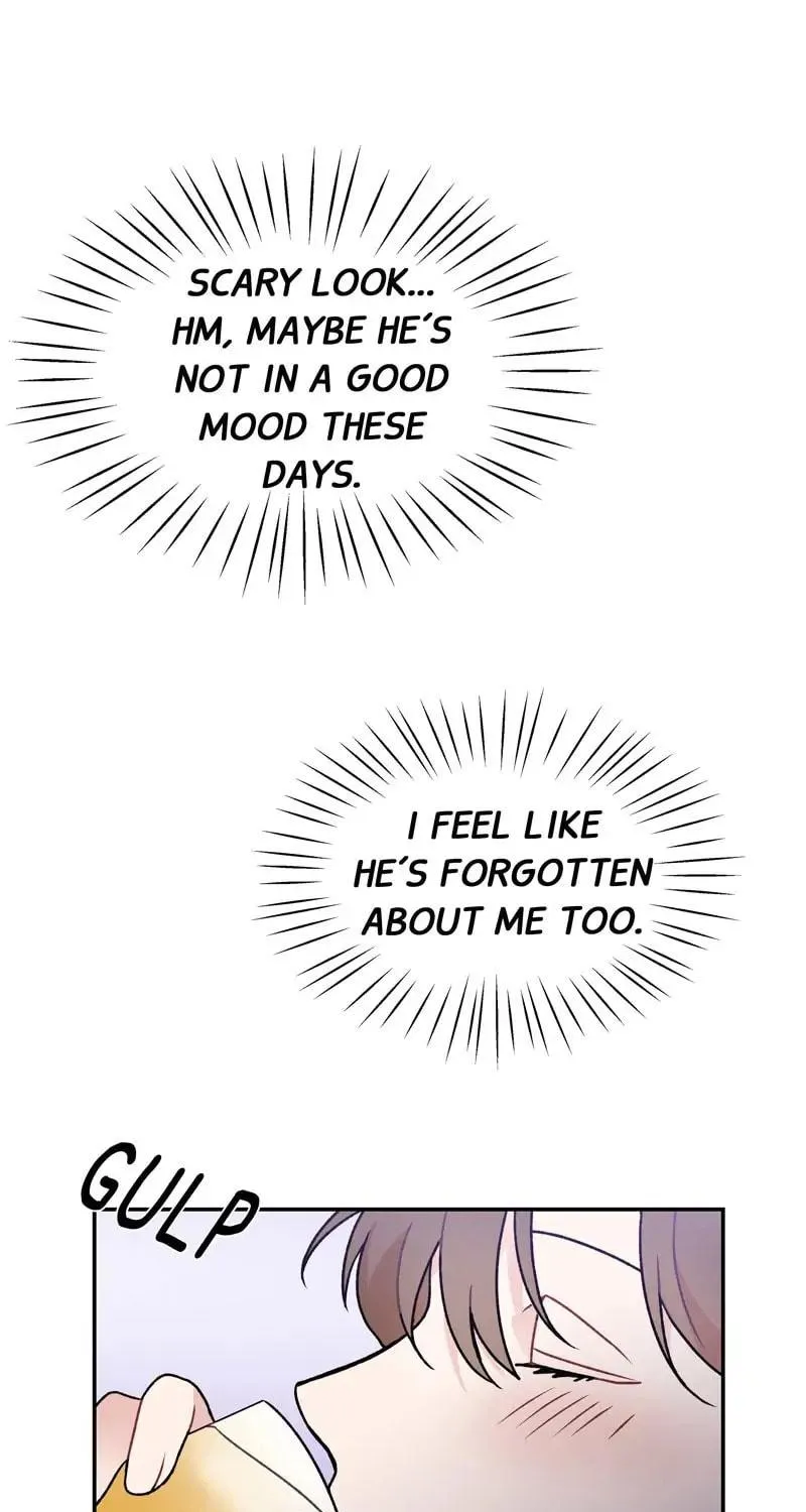 Read Perfect Wedding chapter 10 image 42 on Lezhin
