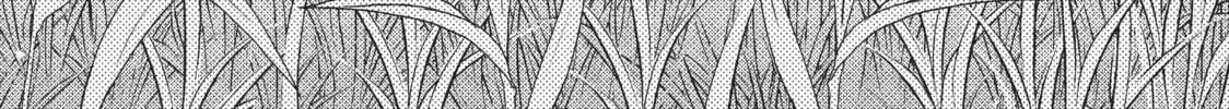 Read Perfect World chapter 23 image 1 on Lezhin