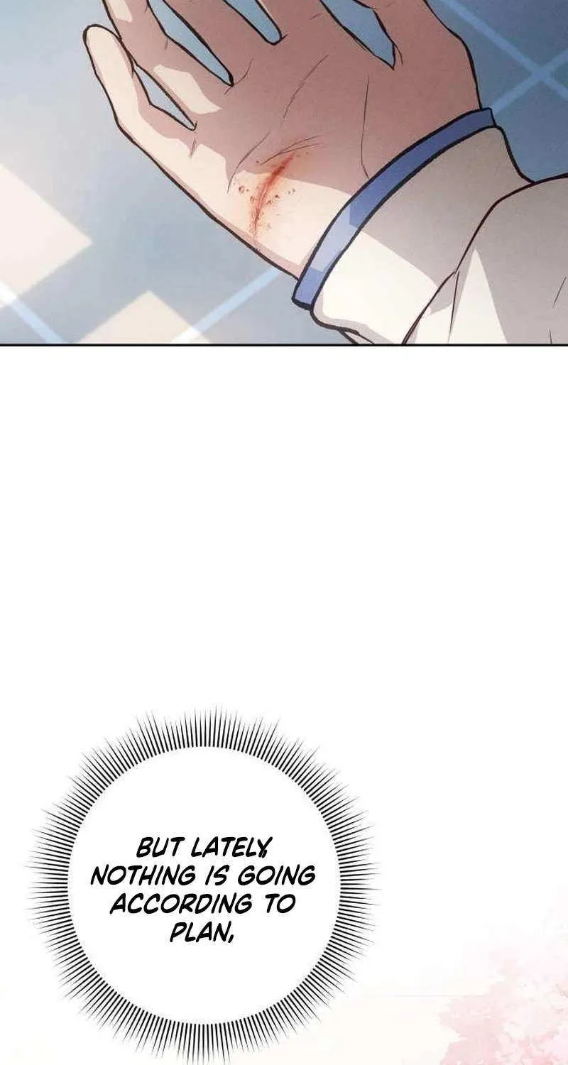 Read Perfection is Everything chapter 15 image 100 on Lezhin