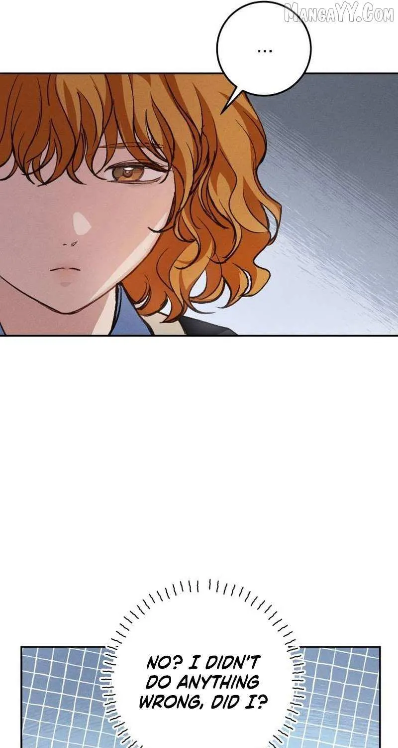Read Perfection is Everything chapter 15 image 47 on Lezhin