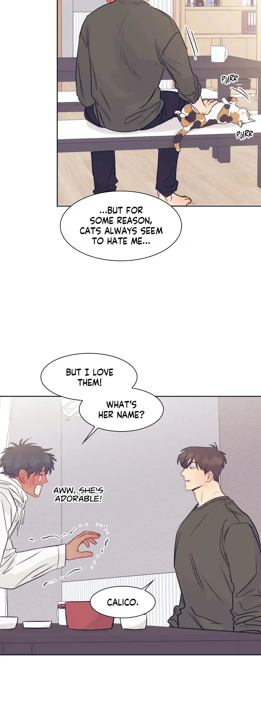 Perfectly Broken Love Chapter 19 page 15 - 