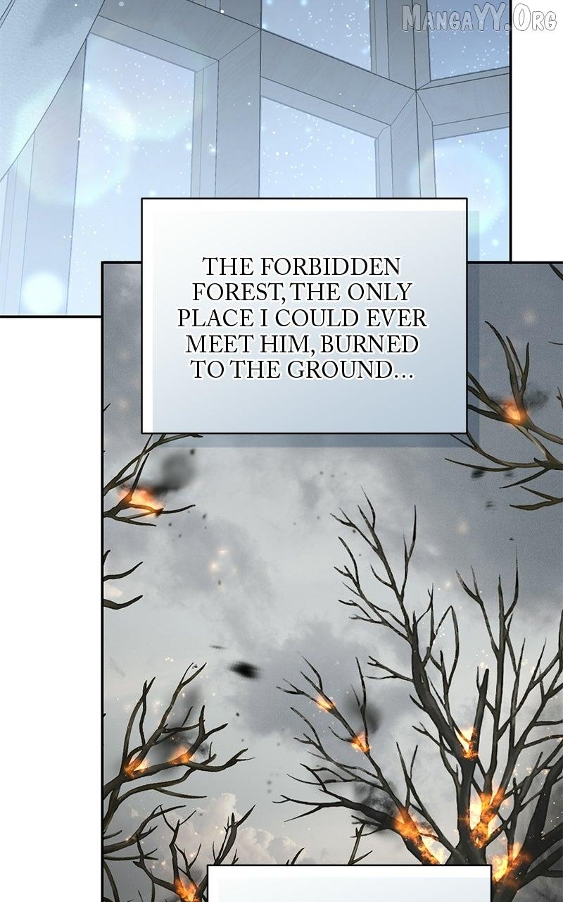 Read Perhaps Invincible chapter 52 image 30 on Lezhin