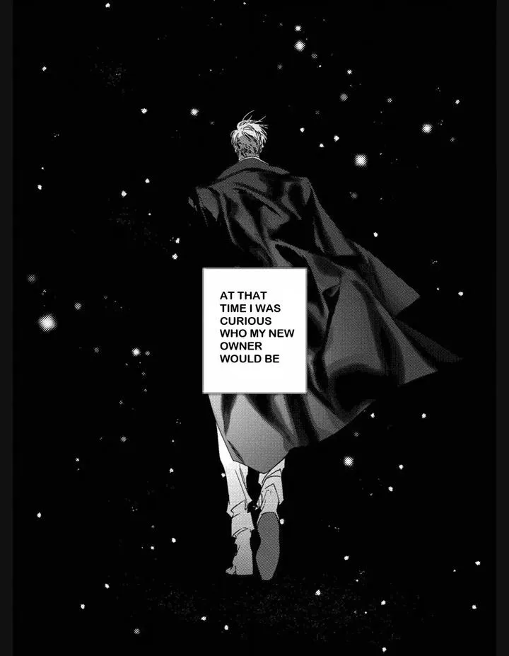 Read Perle chapter 11 image 20 on Lezhin