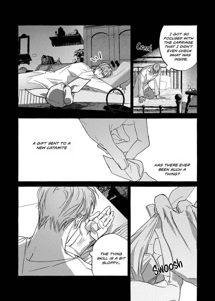 Read Perle chapter 12 image 8 on Lezhin