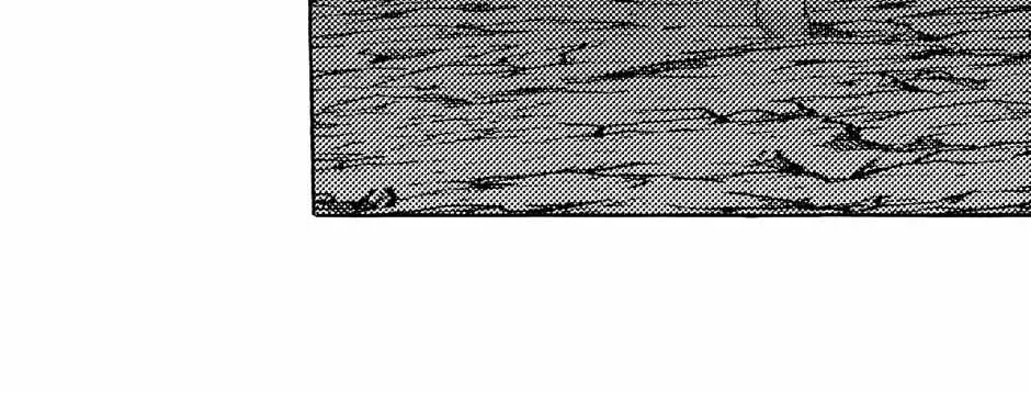 Read Perle chapter 30 image 20 on Lezhin