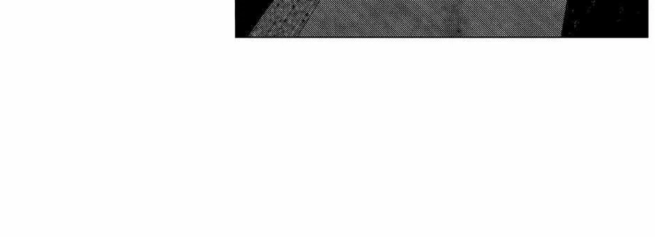 Read Perle chapter 38 image 36 on Lezhin