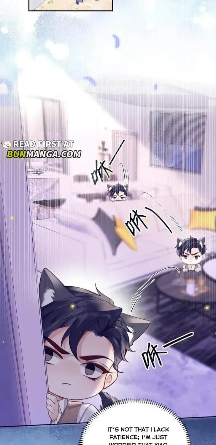 Read Personal Tailor chapter 117 image 3 on Lezhin