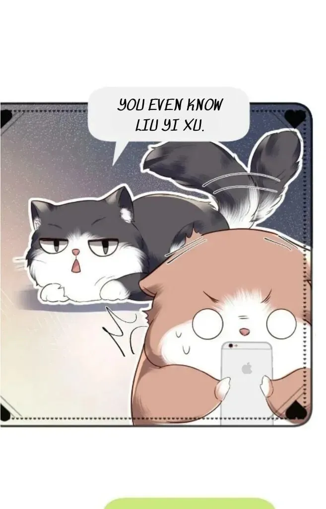 Read Personal Tailor chapter 27 image 36 on Lezhin