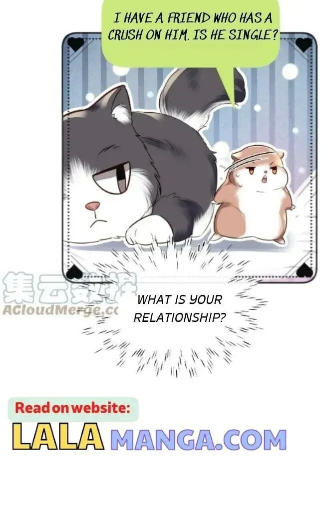 Read Personal Tailor chapter 27 image 37 on Lezhin