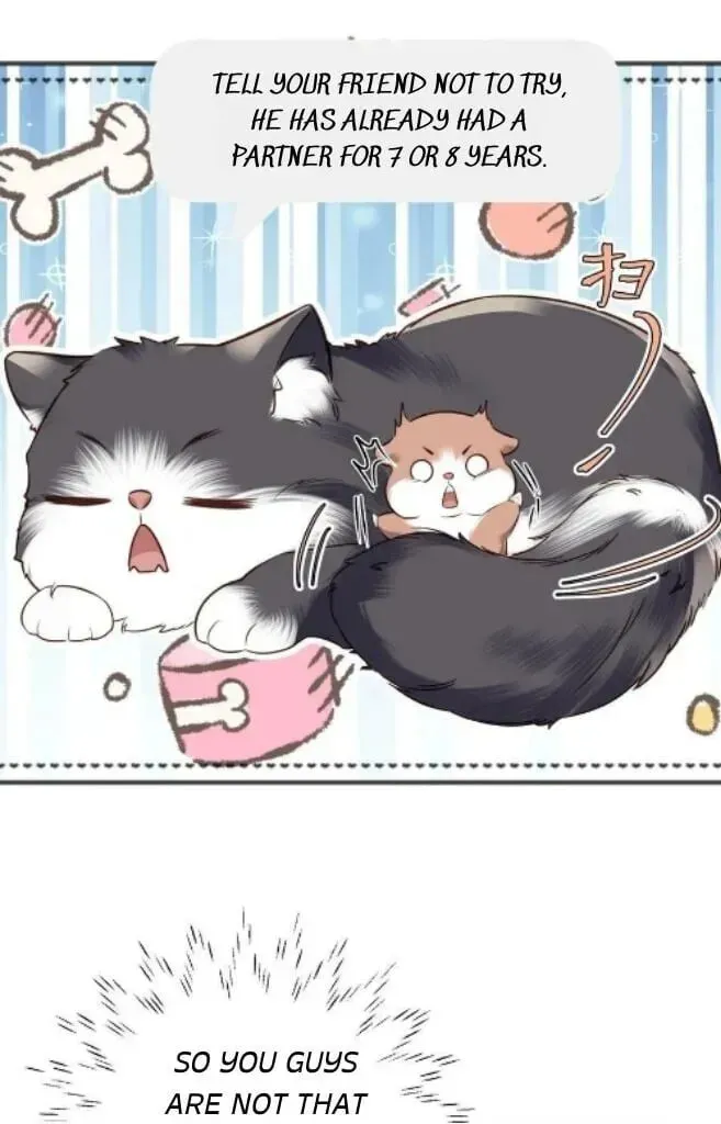Read Personal Tailor chapter 27 image 38 on Lezhin