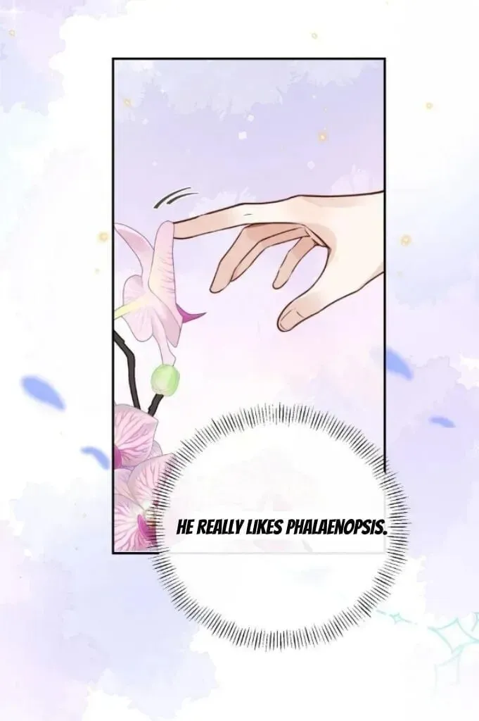 Read Personal Tailor chapter 44 image 6 on Lezhin