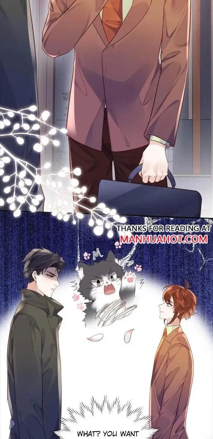 Read Personal Tailor chapter 51 image 1 on Lezhin