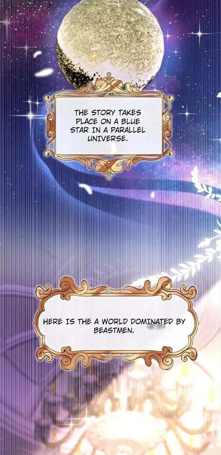 Read Personal Tailor chapter 79 image 1 on Lezhin
