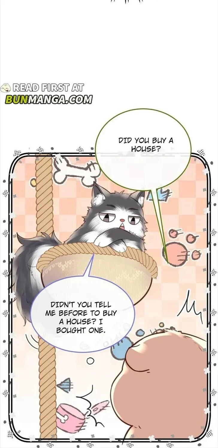 Read Personal Tailor chapter 83 image 19 on Lezhin