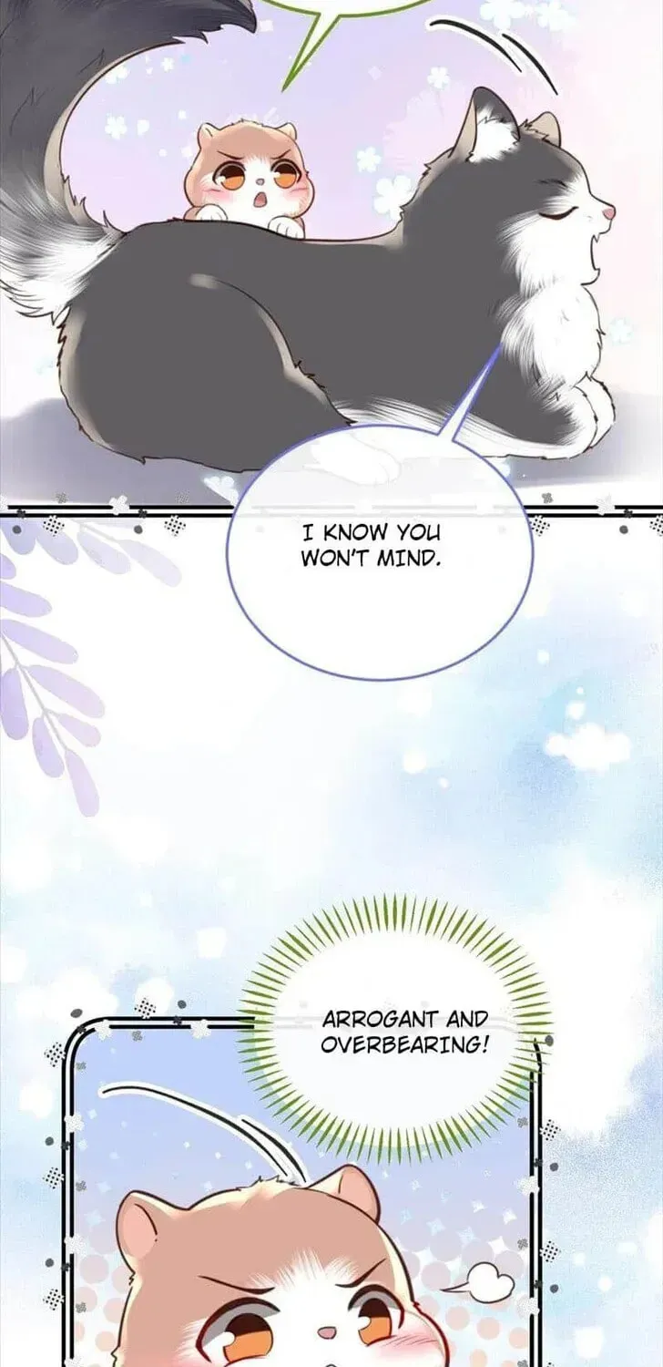 Read Personal Tailor chapter 83 image 21 on Lezhin