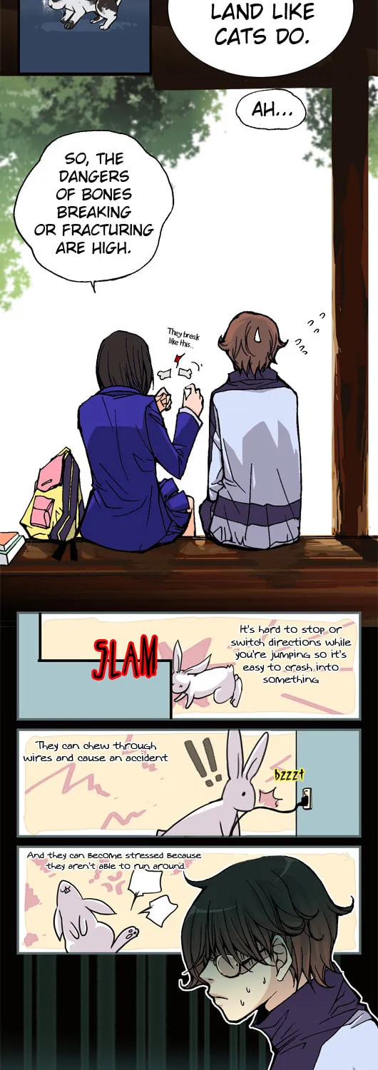 Read Pet Diary chapter 13 image 2 on Lezhin