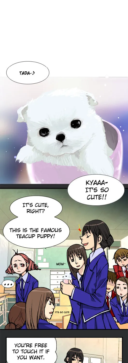 Read Pet Diary chapter 14 image 9 on Lezhin