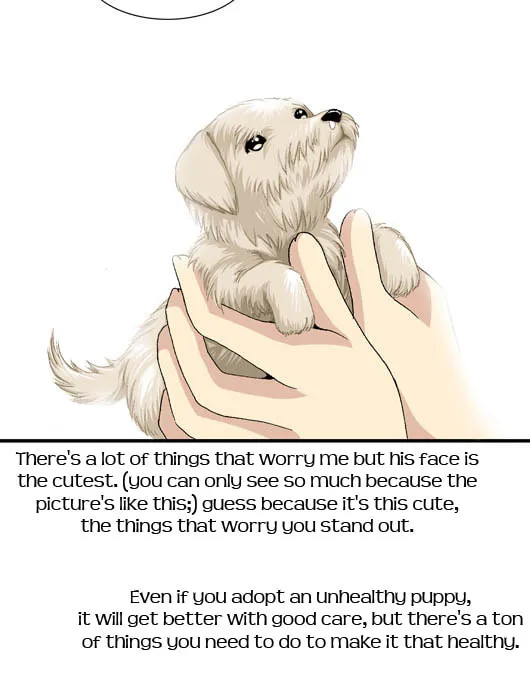 Read Pet Diary chapter 15.5 image 6 on Lezhin