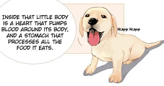 Read Pet Diary chapter 15 image 16 on Lezhin