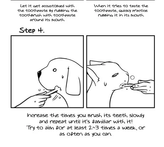 Read Pet Diary chapter 26 image 21 on Lezhin
