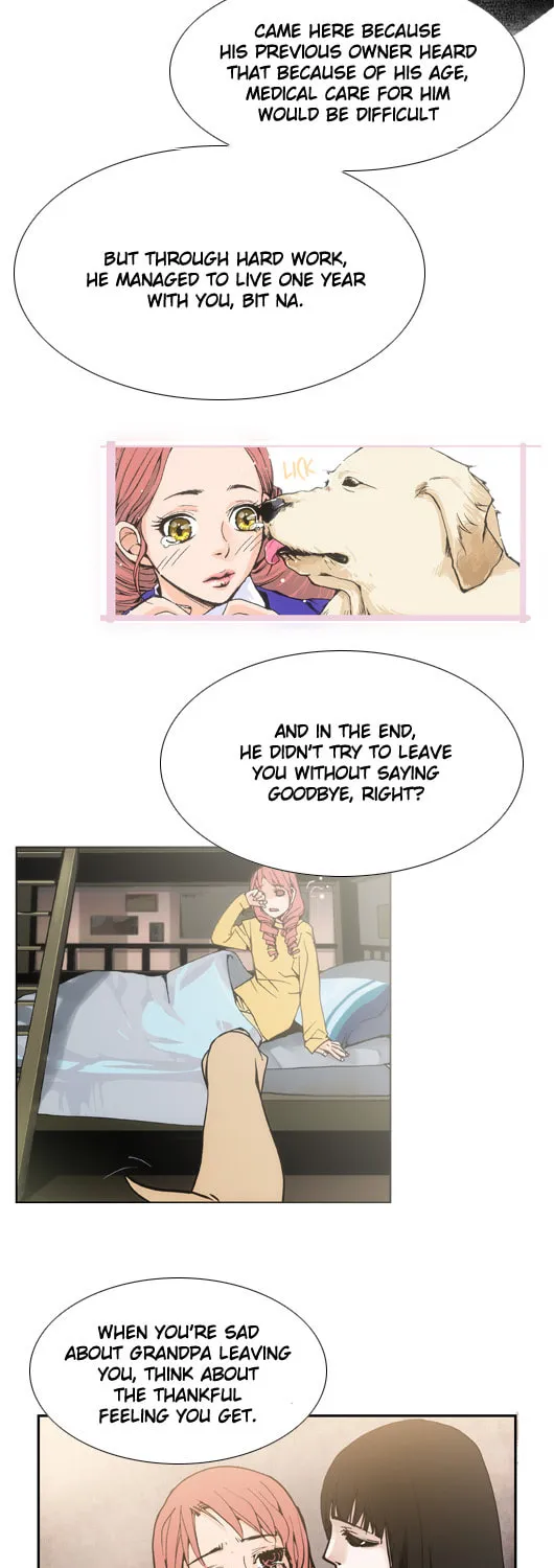 Read Pet Diary chapter 43 image 6 on Lezhin