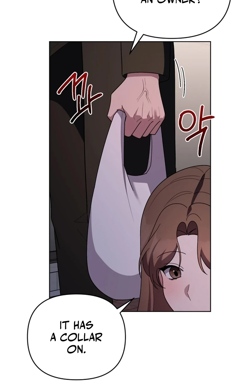 Read Pet User Manual chapter 8 image 32 on Lezhin