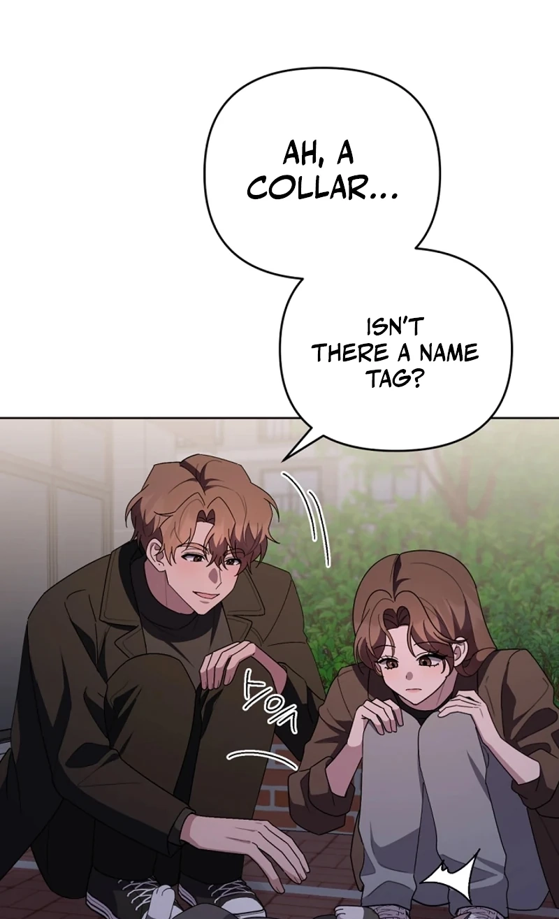 Read Pet User Manual chapter 8 image 33 on Lezhin