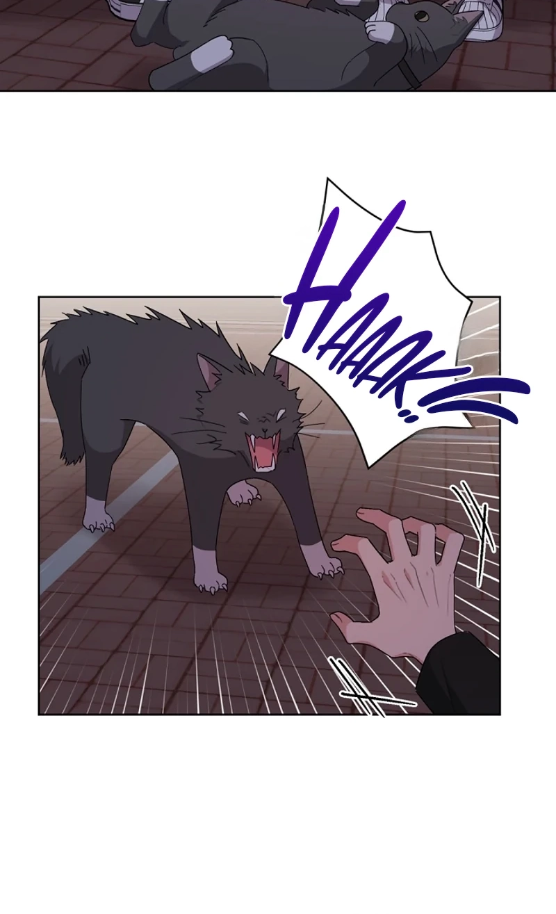Read Pet User Manual chapter 8 image 34 on Lezhin