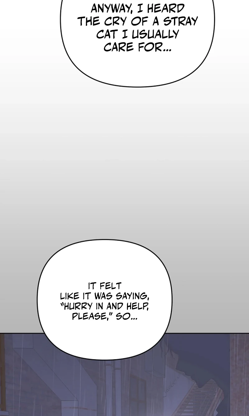 Read Pet User Manual chapter 8 image 42 on Lezhin