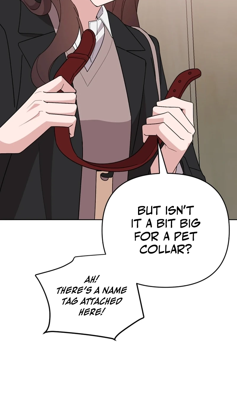 Read Pet User Manual chapter 8 image 78 on Lezhin