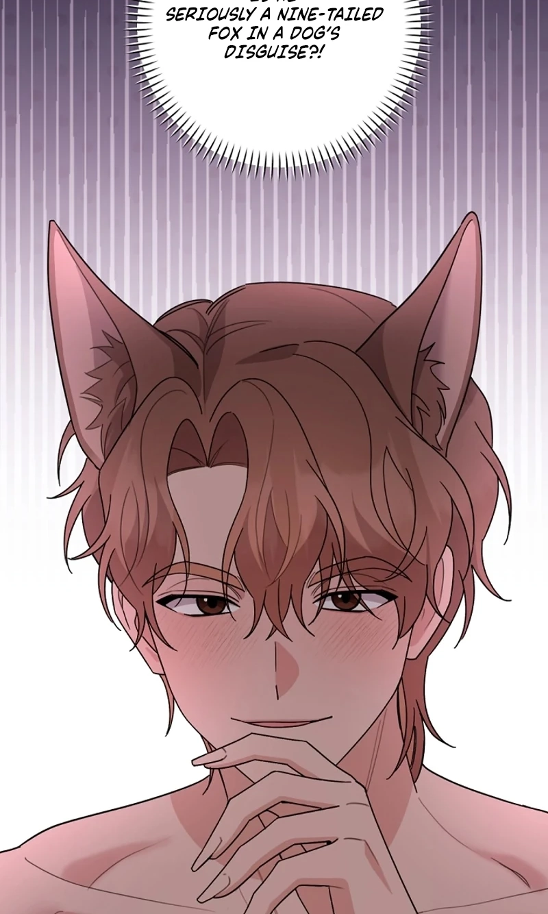 Read Pet User Manual chapter 9 image 21 on Lezhin