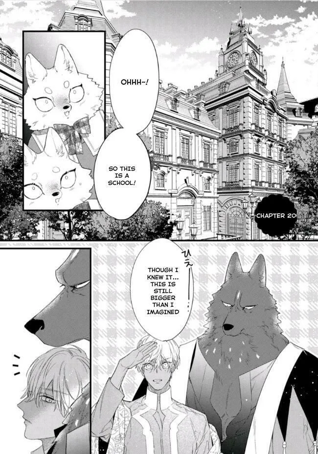 Read Petit Mignon chapter 20 image 1 on Lezhin