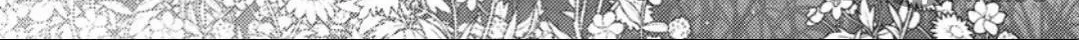 Read Petit Mignon chapter 7 image 23 on Lezhin