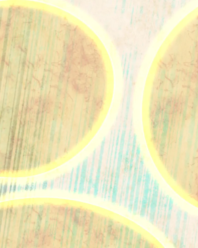 Read Phantom Paradise chapter 113 image 66 on Lezhin