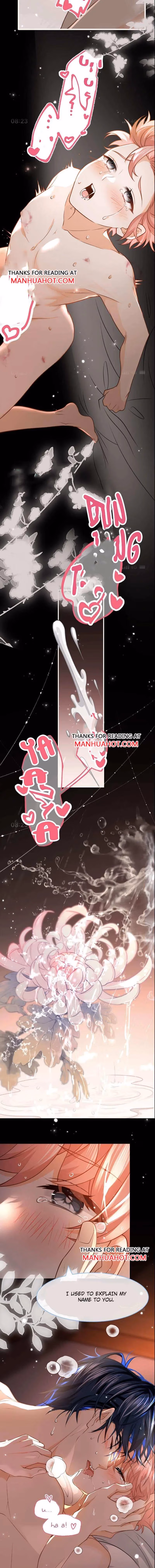 Pheromone Impossible Chapter 95.5 page 5 - 