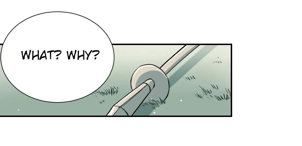 Phoenix of Destiny Chapter 22 page 77 - 