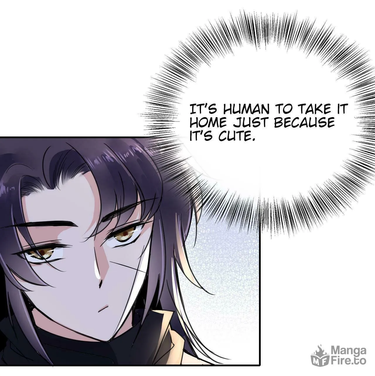 Phoenix of Destiny Chapter 48 page 51 - 