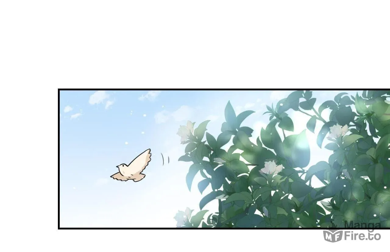 Phoenix of Destiny Chapter 51 page 26 - 