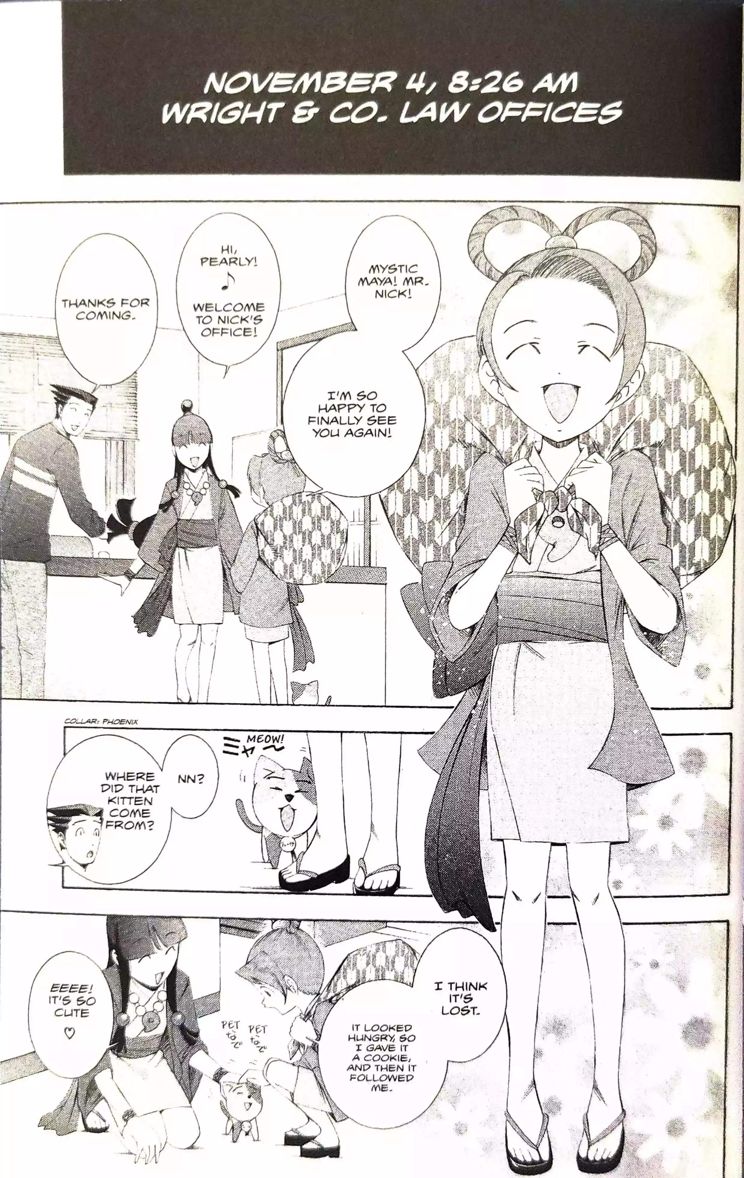 Phoenix Wright: Ace Attorney Chapter 10 page 18 - 