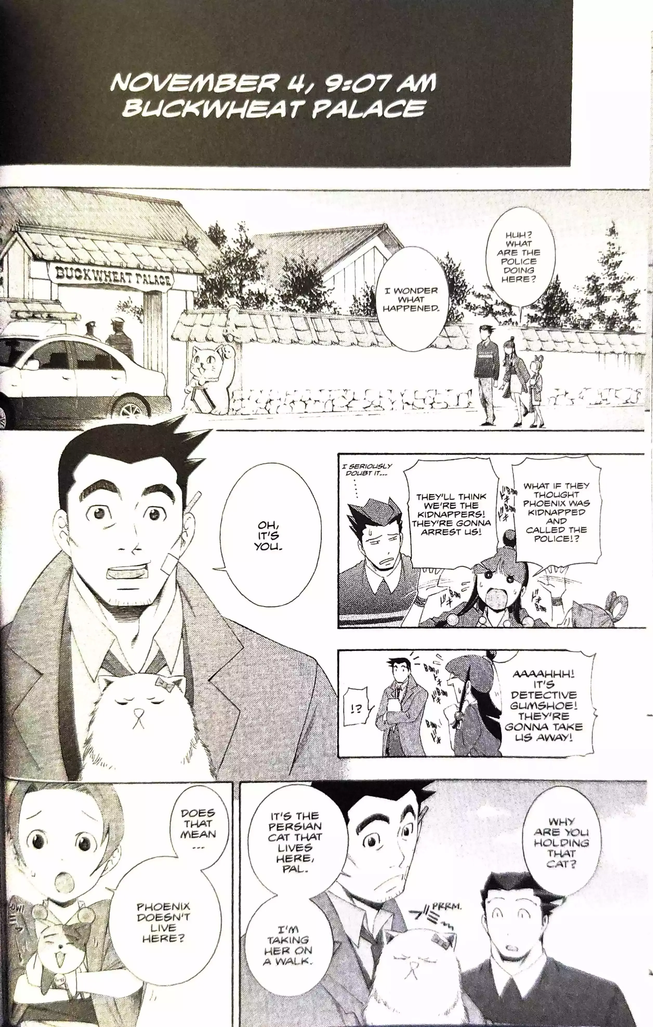 Phoenix Wright: Ace Attorney Chapter 10 page 23 - 