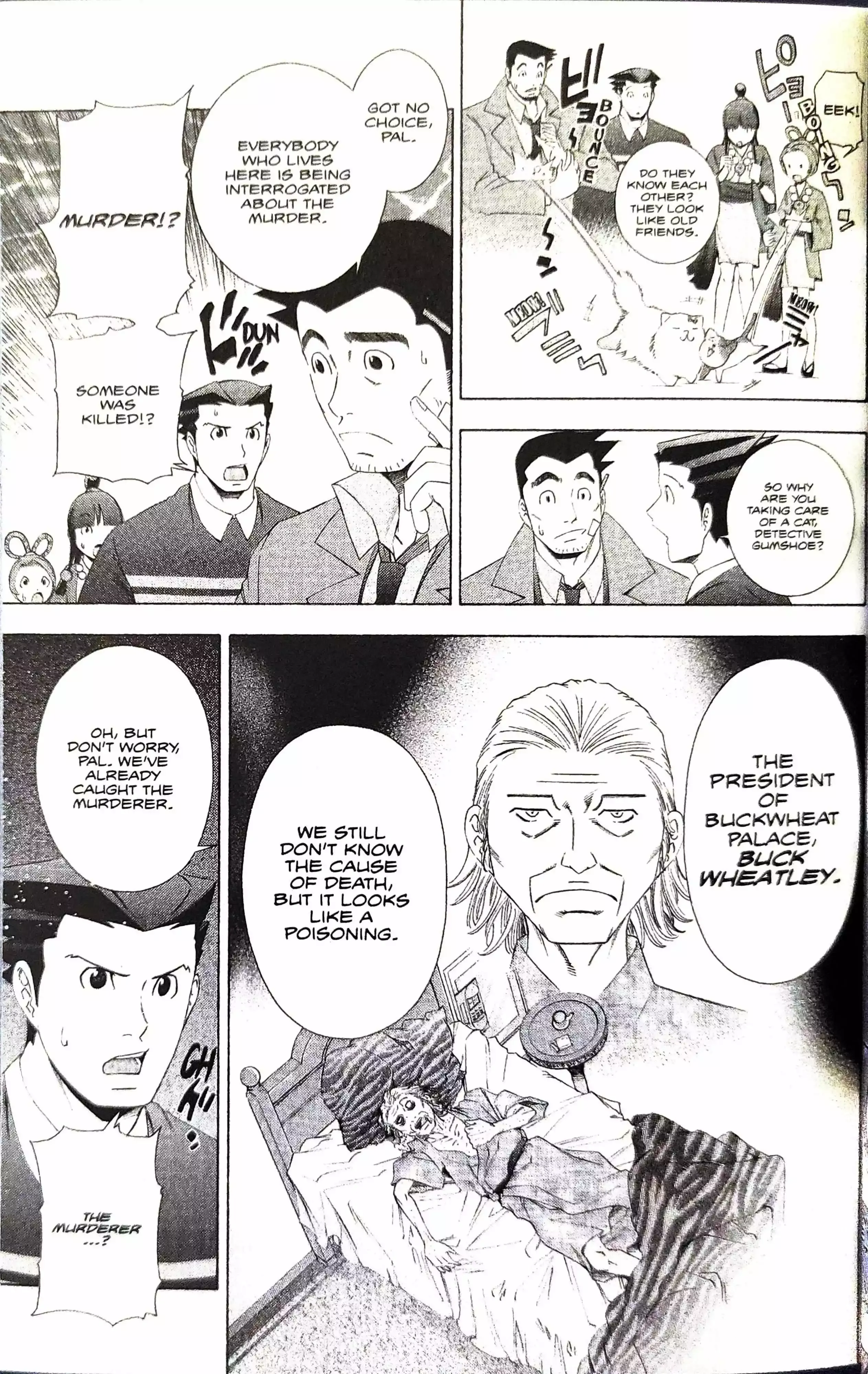Phoenix Wright: Ace Attorney Chapter 10 page 24 - 
